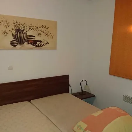 Apartma Geoteh Terme Catez 6032 Ferienhaus *